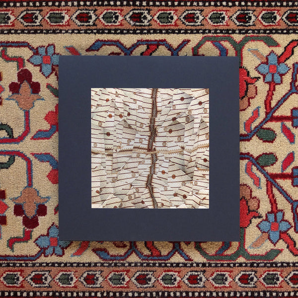 Sage Alyte - Paume De Pierre LP