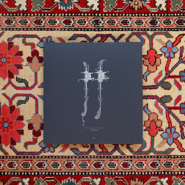 Sage Alyte - Paume De Pierre LP