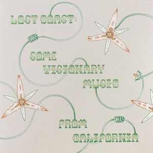 Various -  Lost Coast: Some Visionary Music from California, 1980–1992 LP
