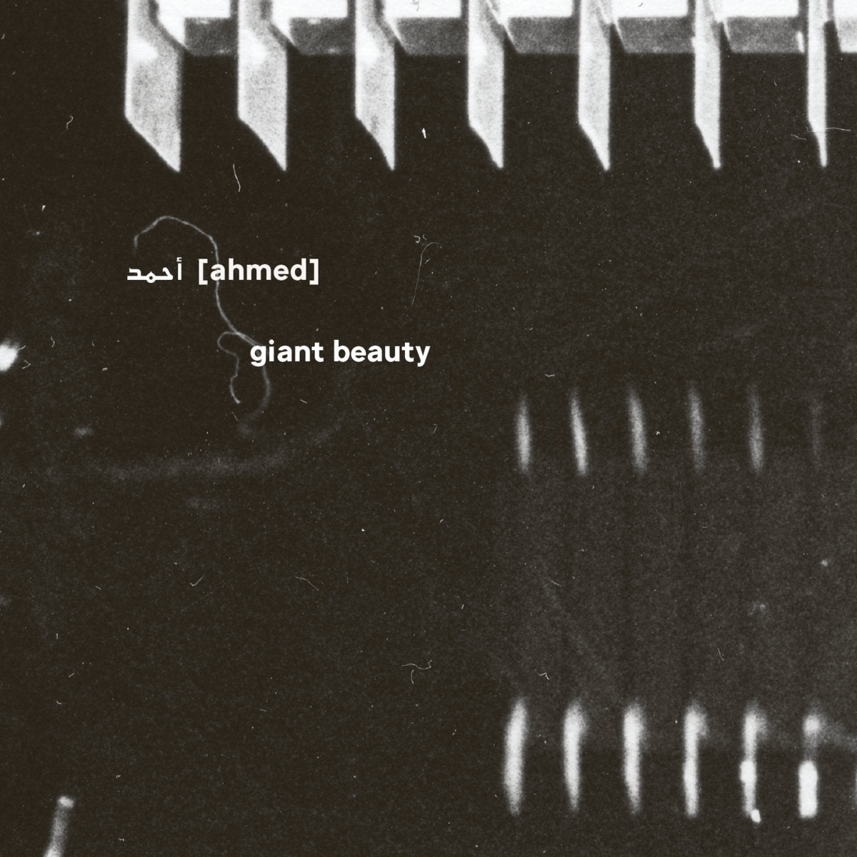 Ahmed - Giant Beauty 5xCD