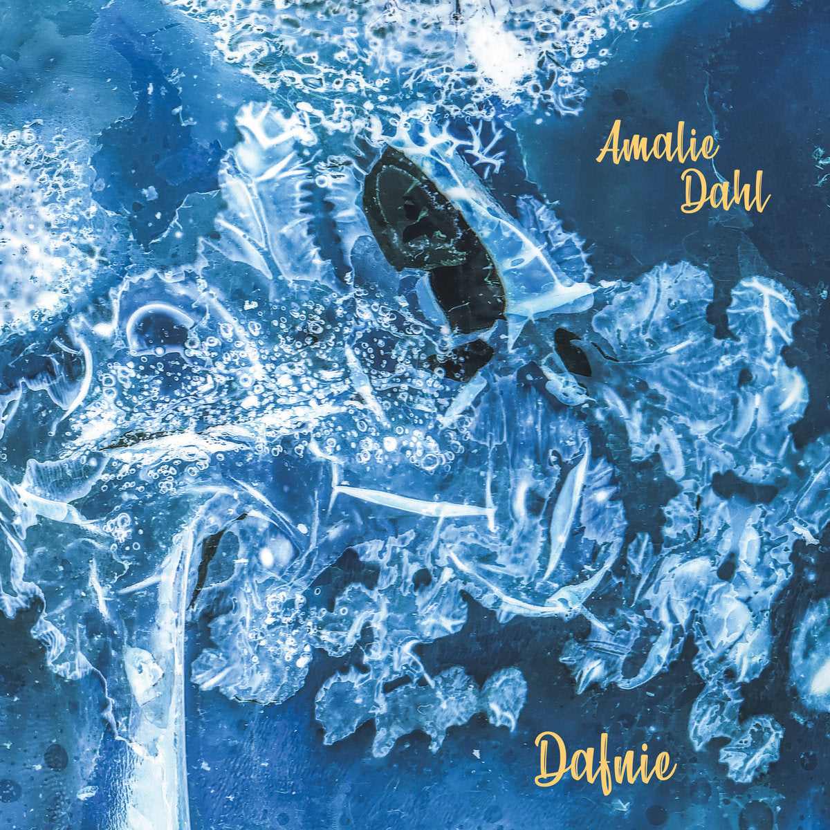 Amalie Dahl's Dafnie – Dafnie LP