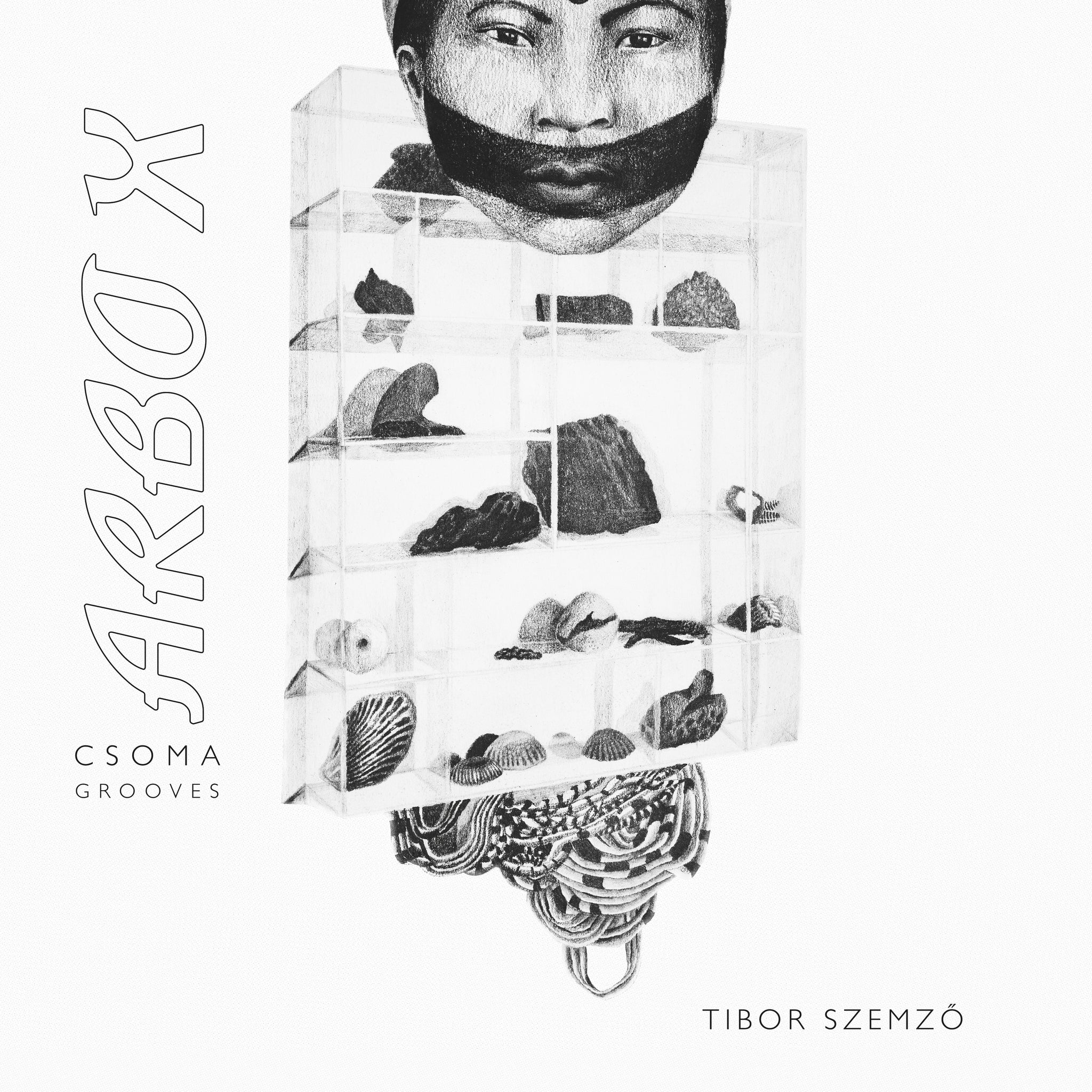 Tibor Szemző - ARBO X LP