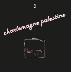 Charlemagne Palestine - Strumming Music LP - AguirreRecords