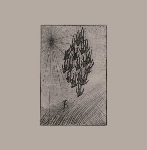 Aine O'Dwyer - Locusts LP - AguirreRecords