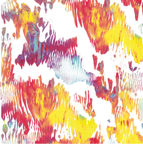 Xiphiidae - Pass Hidingly Seek LP - AguirreRecords