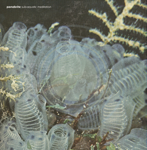 Panabrite - Sub-Aquatic Meditation LP - AguirreRecords