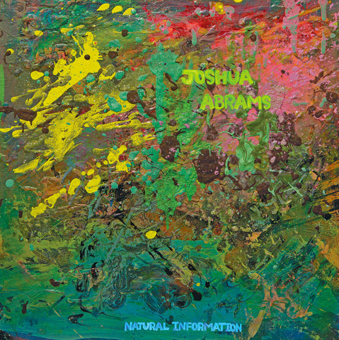 Joshua Abrams - Natural Information LP