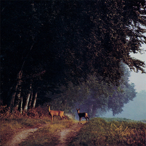 Arv & Miljö -  Svensk sommar i stilla frid LP