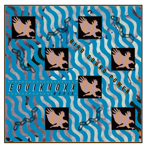 Equiknoxx - Bird Sound Power LP - AguirreRecords