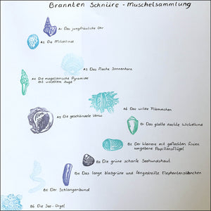 Brannten Schnüre - Muschelsammlung LP