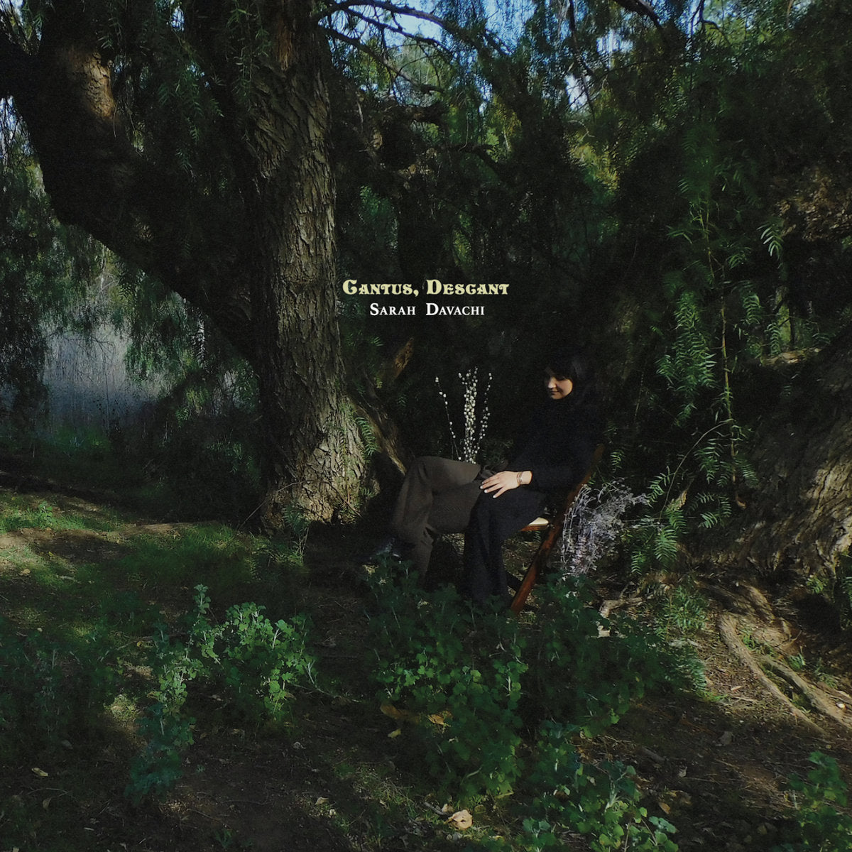 Sarah Davachi - Cantus, Descant 2xLP