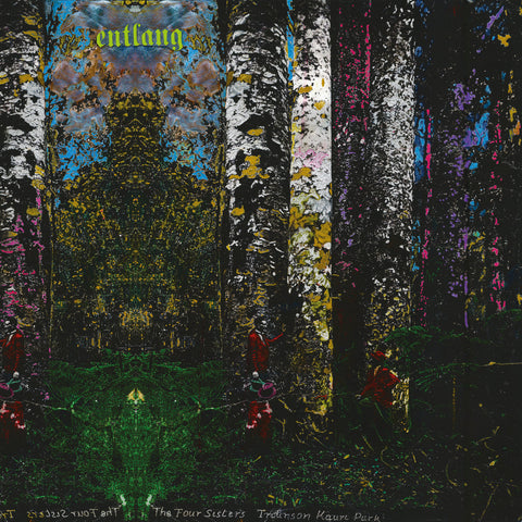Entlang - The Four Sisters LP