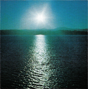 Joanna Brouk - The Space Between LP – Aguirre Records