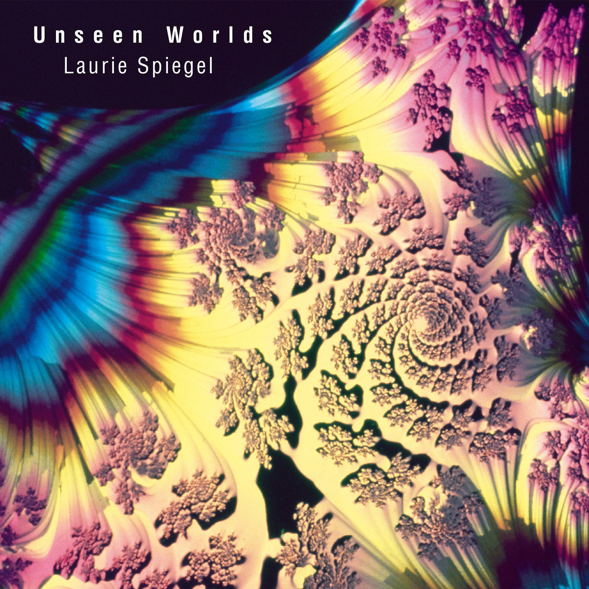 Laurie Spiegel - Unseen Worlds 2xLP
