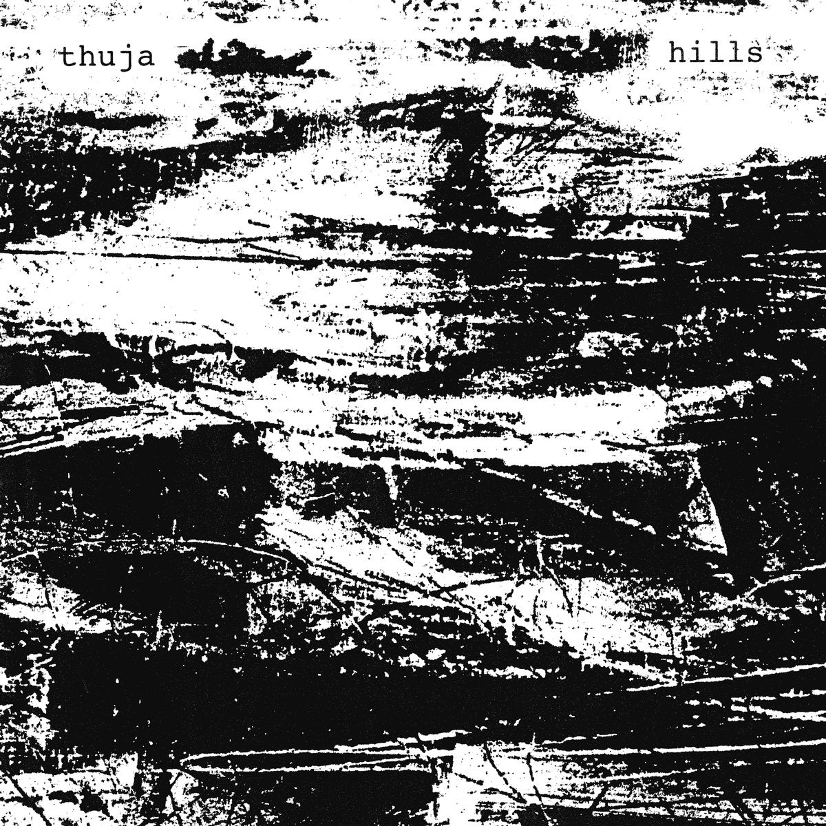 Thuja - Hills LP