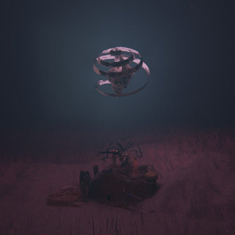 Vica Pacheco ‎– Symplegmata LP
