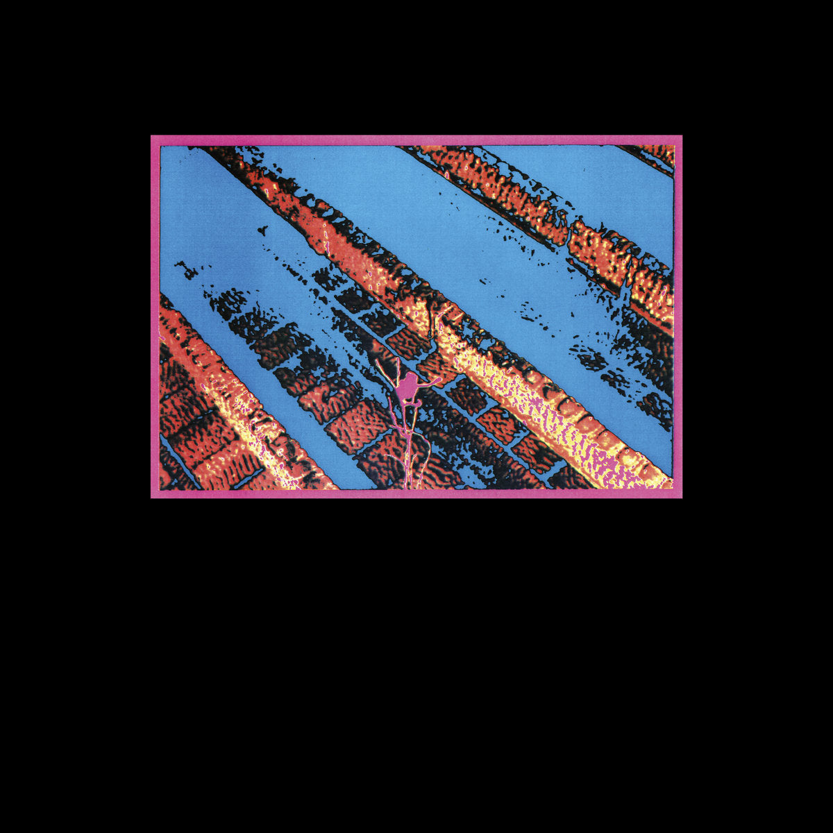 Vogelscheiß Und Seine Verrückten Kröten - s/t LP