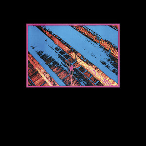 Vogelscheiß Und Seine Verrückten Kröten - s/t LP